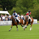 Image for article titled William and Harry and Their Families Went to a Polo Match and Conspicuously Got Along